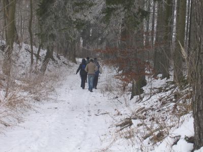 Trosky-1-2006_003.jpg