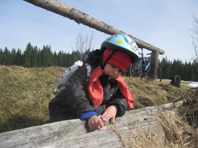 IMG_1627.JPG