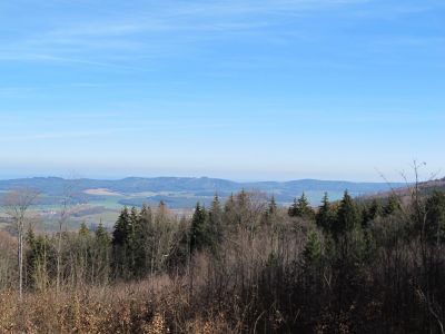 IMG_2890.JPG