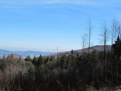 IMG_2891.JPG
