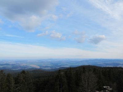 IMG_2908.JPG