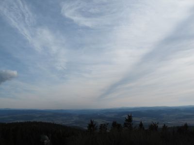 IMG_2911.JPG