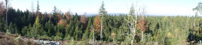 DSC00639.JPG