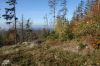 Filename=DSC00626.JPG
Filesize=2010KiB
Dimensions=1600x1067
Date added=Nov 22, 2021 DSC00626.JPG