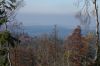 Filename=DSC00629.JPG
Filesize=1721KiB
Dimensions=1600x1067
Date added=Nov 22, 2021 DSC00629.JPG