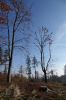DSC00631.JPG