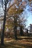 DSC00635.JPG