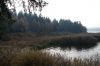 Filename=DSC00650.JPG
Filesize=1374KiB
Dimensions=1600x1067
Date added=Nov 22, 2021 DSC00650.JPG