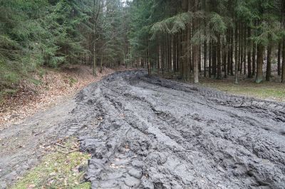 Kudy teď? Je to hluboký minimálně po kolena, osobně vyzkoušeno:-(((
