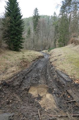 Z červené od odbočky na Starou hlučovskou cestu směrem k Pšovce.
