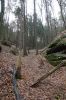 Filename=DSC00728.JPG
Filesize=864KiB
Dimensions=1365x2048
Date added=May 11, 2022 DSC00728.JPG
