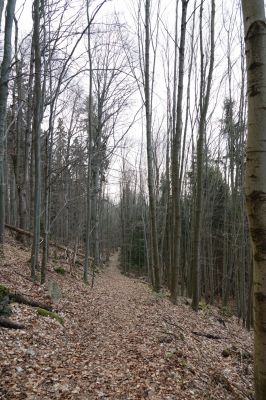 DSC00774.JPG