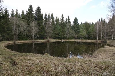 DSC00816.JPG