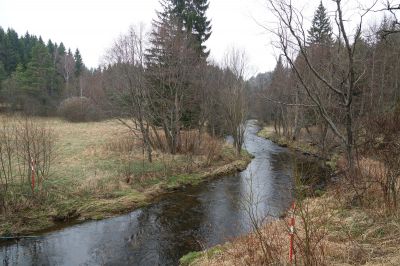 DSC00822.JPG