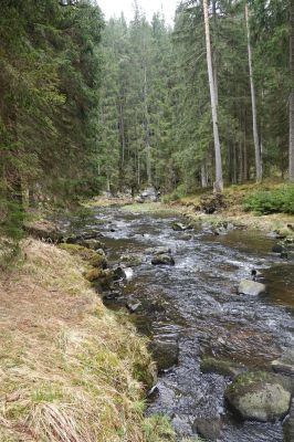 DSC00837.JPG