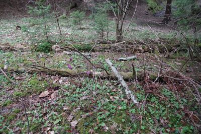 DSC00864.JPG