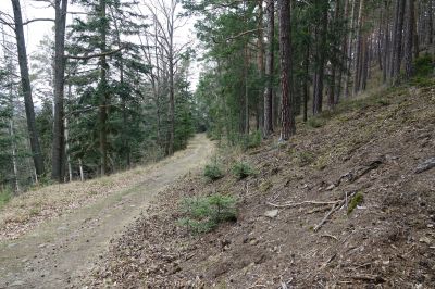 Cesta do Prachatic nad Husineckou nádrží
