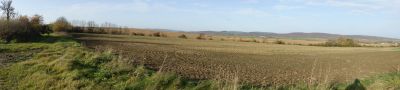 DSC01273.JPG