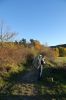 Filename=DSC01229.JPG
Filesize=560KiB
Dimensions=1365x2048
Date added=Nov 14, 2022 DSC01229.JPG