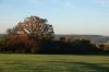 Filename=DSC01231.JPG
Filesize=490KiB
Dimensions=2048x1365
Date added=Nov 14, 2022 DSC01231.JPG