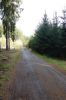 Filename=DSC01234.JPG
Filesize=656KiB
Dimensions=1365x2048
Date added=Nov 14, 2022 DSC01234.JPG
