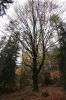 Filename=DSC01235.JPG
Filesize=925KiB
Dimensions=1365x2048
Date added=Nov 14, 2022 DSC01235.JPG