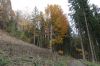 Filename=DSC01236.JPG
Filesize=819KiB
Dimensions=2048x1365
Date added=Nov 14, 2022 DSC01236.JPG