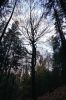 Filename=DSC01246.JPG
Filesize=833KiB
Dimensions=1365x2048
Date added=Nov 14, 2022 DSC01246.JPG