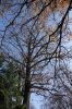 Filename=DSC01259.JPG
Filesize=1070KiB
Dimensions=1365x2048
Date added=Nov 14, 2022 DSC01259.JPG
