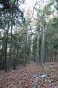 Filename=DSC01265.JPG
Filesize=823KiB
Dimensions=1365x2048
Date added=Nov 14, 2022 DSC01265.JPG