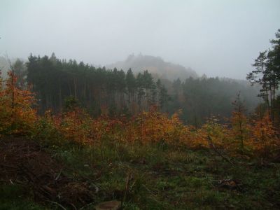 DSCF0003~2.JPG