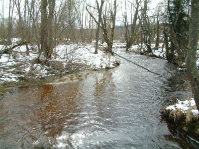 DSCF0004~4.JPG