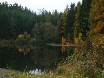 DSCF0010~0.JPG