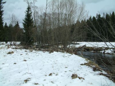 DSCF0010~3.JPG
