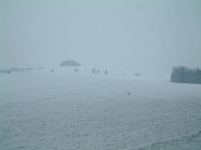 DSCF0020~1.JPG