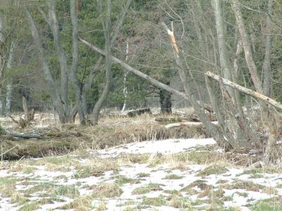 DSCF0022~4.JPG