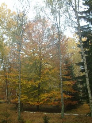 DSCF0023~0.JPG