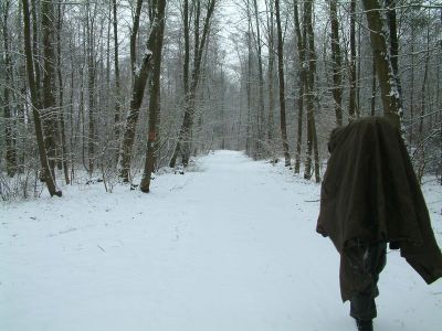 DSCF0023~2.JPG