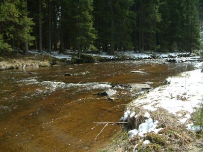 DSCF0025.JPG