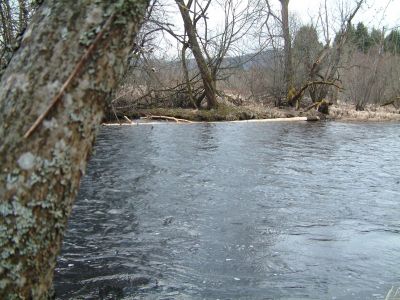 DSCF0027~3.JPG