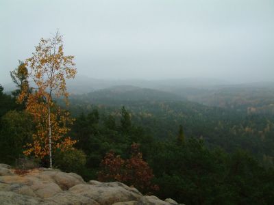 DSCF0030~2.JPG