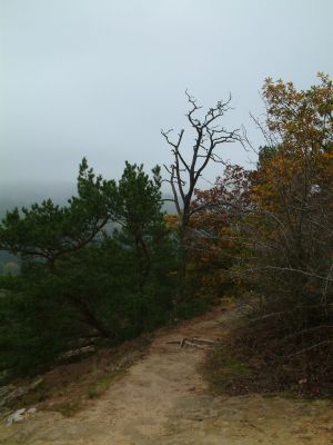 DSCF0031~1.JPG