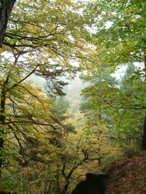 DSCF0032~0.JPG