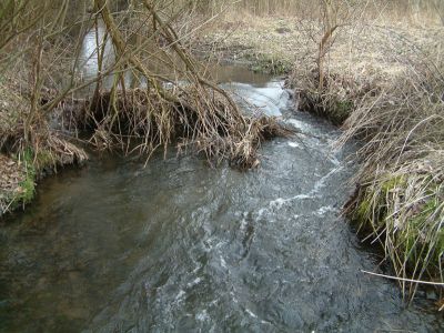 DSCF0044.JPG