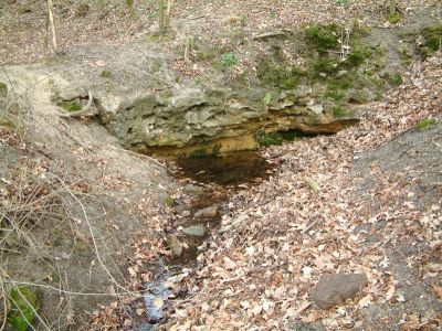 DSCF0049.JPG