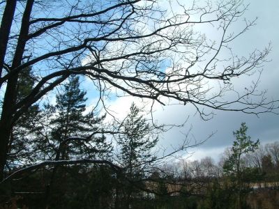 DSCF0057.JPG