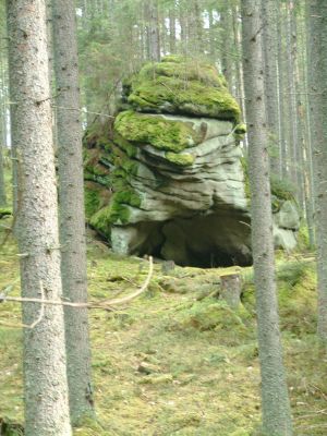 DSCF0070~3.JPG