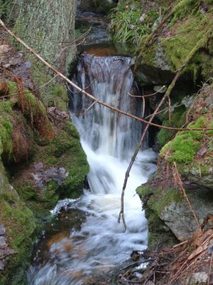 DSCF0071~0.JPG