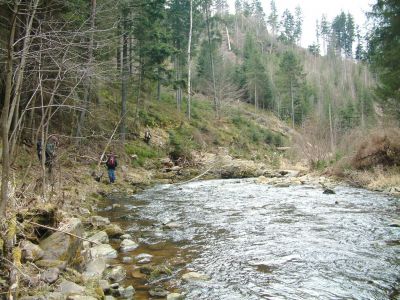DSCF0078~1.JPG
