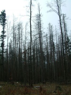 DSCF0079~0.JPG
